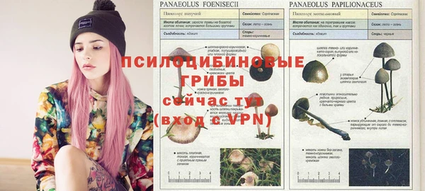 кокаин премиум Алексин