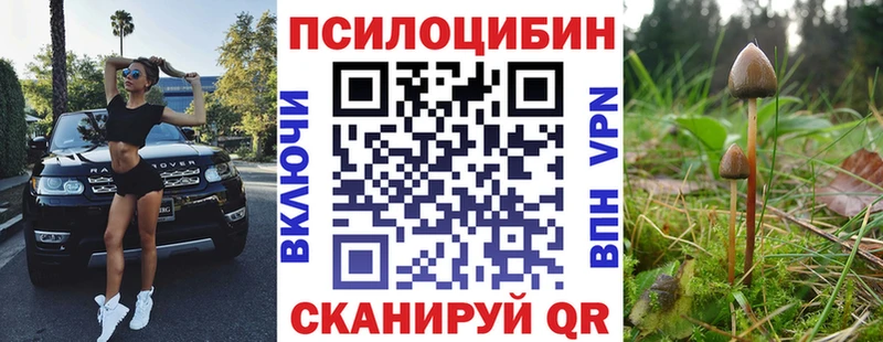 Галлюциногенные грибы Cubensis  Бийск 
