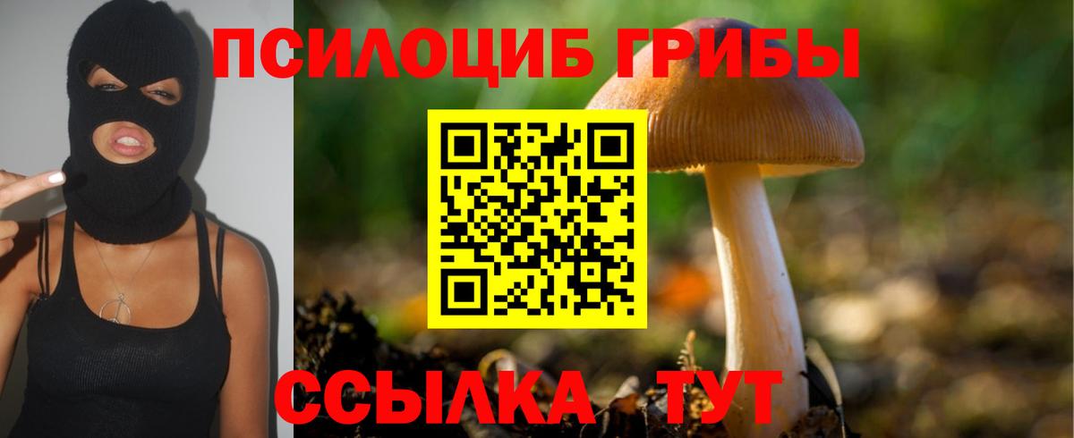 купить  цена  Вход с VPN  Псилоцибиновые грибы прущие грибы  Бийск  Галлюциногенные грибы ЛСД 